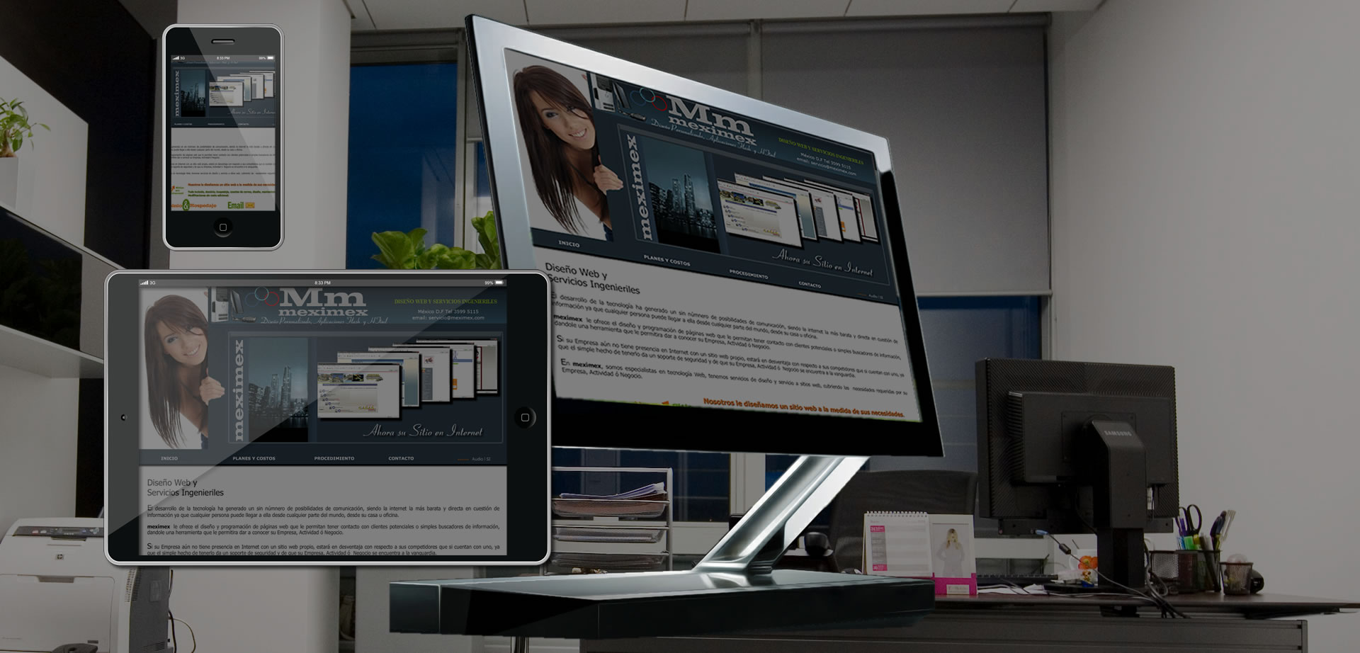 Diseño de Páginas WEB meximex.com